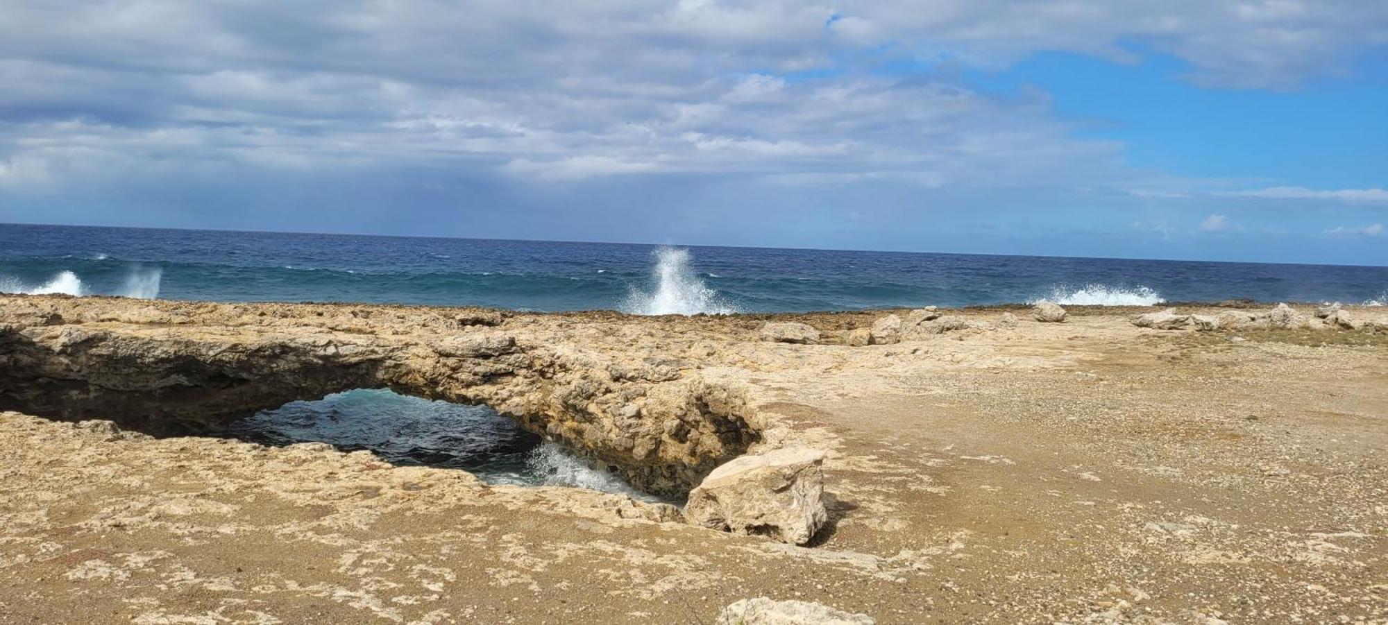 Cattleya Apartments Curacao Willemstad Eksteriør billede